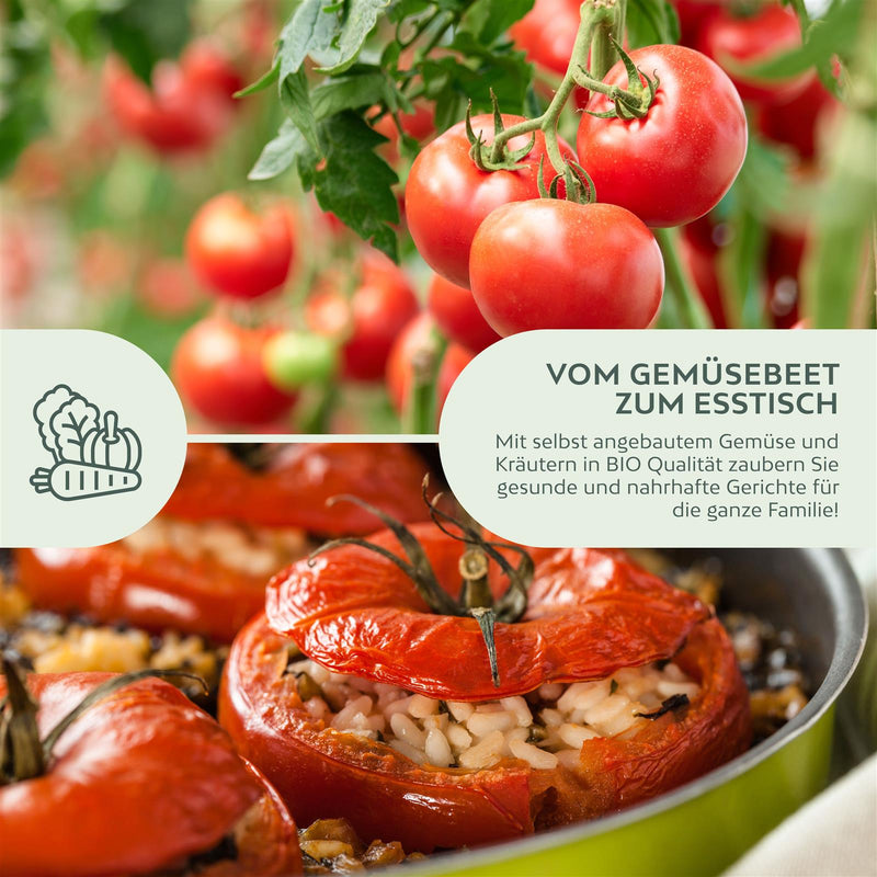 BIO Tomatensamen (Berner Rose) - Tomaten Saatgut aus biologischem Anbau (10 Korn) - HappySeed