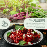 BIO Rote Beete Samen (Detroit Globe) - Rote Bete Saatgut aus biologischem Anbau (50 Korn) - HappySeed