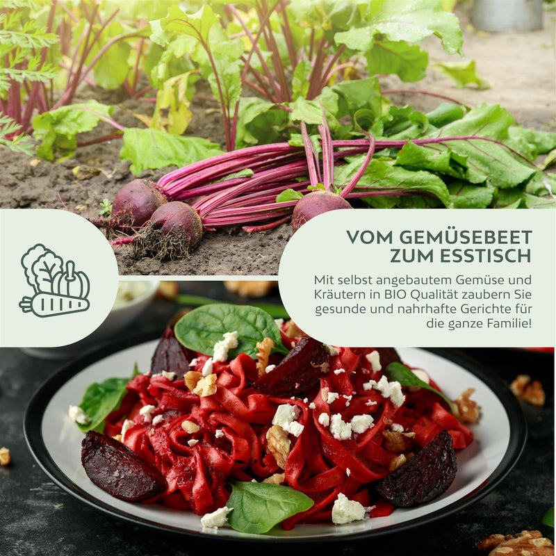 BIO Rote Beete Samen (Detroit Globe) - Rote Bete Saatgut aus biologischem Anbau (50 Korn) - HappySeed