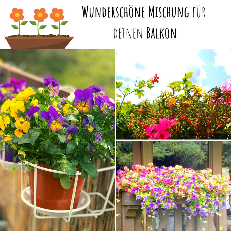 2x Saatteppich mit Blumensamen  für den Balkon (Mix) - HappySeed