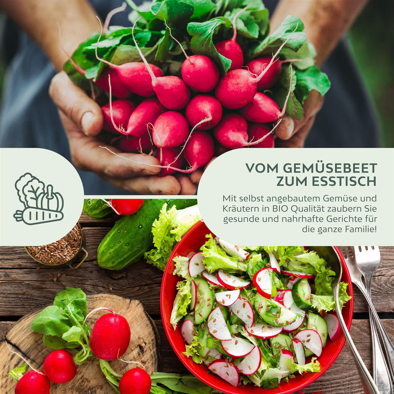 BIO Radieschen Samen (Cherry Bell) - Radieschen Saatgut aus biologischem Anbau (50 Korn) - HappySeed