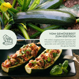 BIO Zucchini Samen (Nero di Milano) - Zucchini Saatgut aus biologischem Anbau (5 Korn) - HappySeed