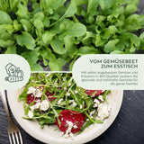 BIO Rucola Samen (Eruca sativa) - Rauke Saatgut aus biologischem Anbau (500 Korn) - HappySeed