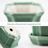 Bonsai Schale aus Keramik mit Untersetzer in Jadegrün - 11 x 6,5 x 9 cm - HappySeed