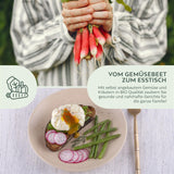 BIO Radieschen Samen (French Breakfast) - Radieschen Saatgut aus biologischem Anbau (75 Korn) - HappySeed