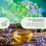 BIO Borretsch Samen - Küchenkräuter Saatgut aus biologischem Anbau (40 Korn) - HappySeed