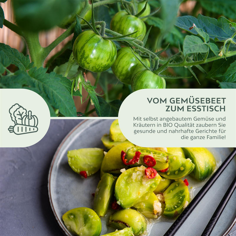 BIO Tomatensamen (Green Zebra) - Tomaten Saatgut aus biologischem Anbau (10 Korn) - HappySeed