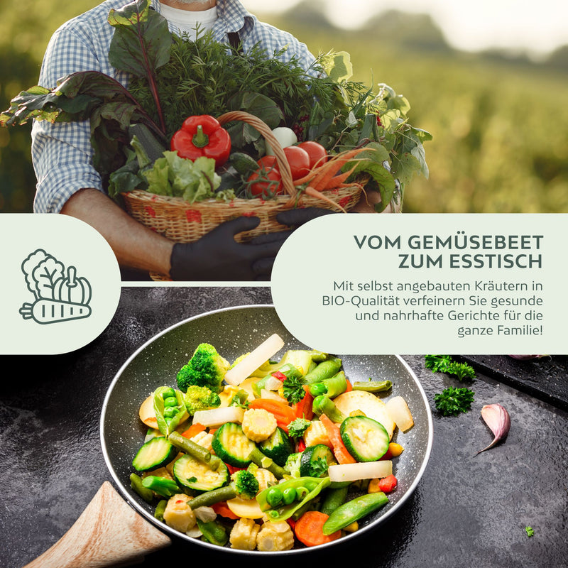 BIO Gemüsesamen Set (10 Sorten) - Gemüse Samen Anzuchtset aus biologischem Anbau - HappySeed