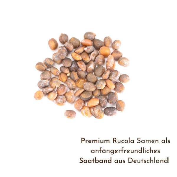 5m Saatband mit Rucola Samen - Eruca sativa - HappySeed
