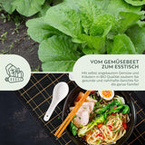 BIO Chinesischer Senfkohl Samen (Pak Choi) - Pak Choi Saatgut aus biologischem Anbau (150 Korn) - HappySeed