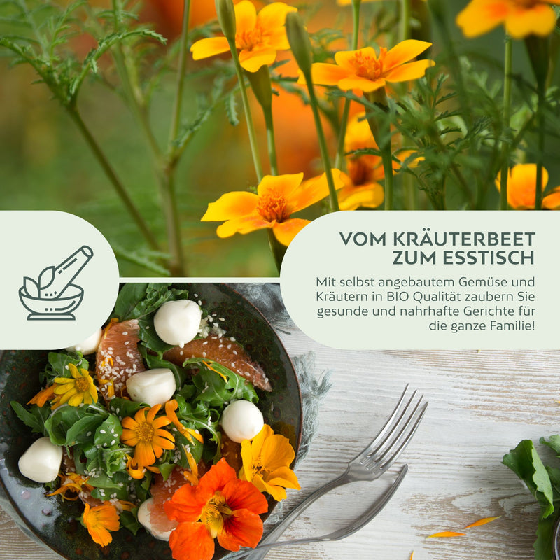 BIO Gewürztagetes Samen - Tagetes Saatgut aus biologischem Anbau (100 Korn) - HappySeed