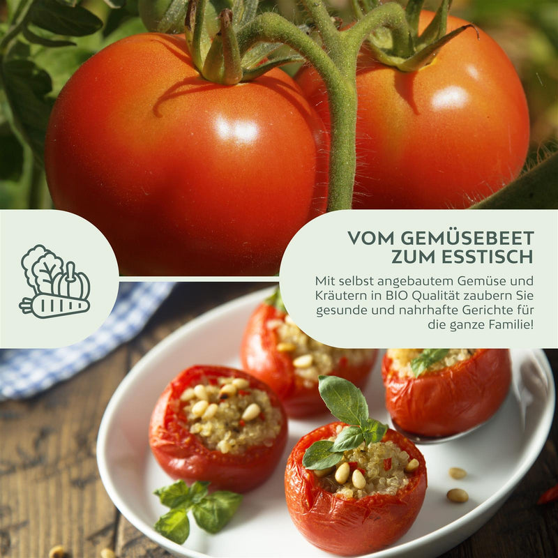 BIO Tomatensamen (Saint Pierre) - Tomaten Saatgut aus biologischem Anbau (10 Korn) - HappySeed