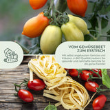 BIO Tomatensamen (Principe Borghese) - Tomaten Saatgut aus biologischem Anbau (10 Korn) - HappySeed
