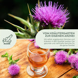 BIO Mariendistel Samen - Heilkräuter Saatgut aus biologischem Anbau (50 Korn) - HappySeed