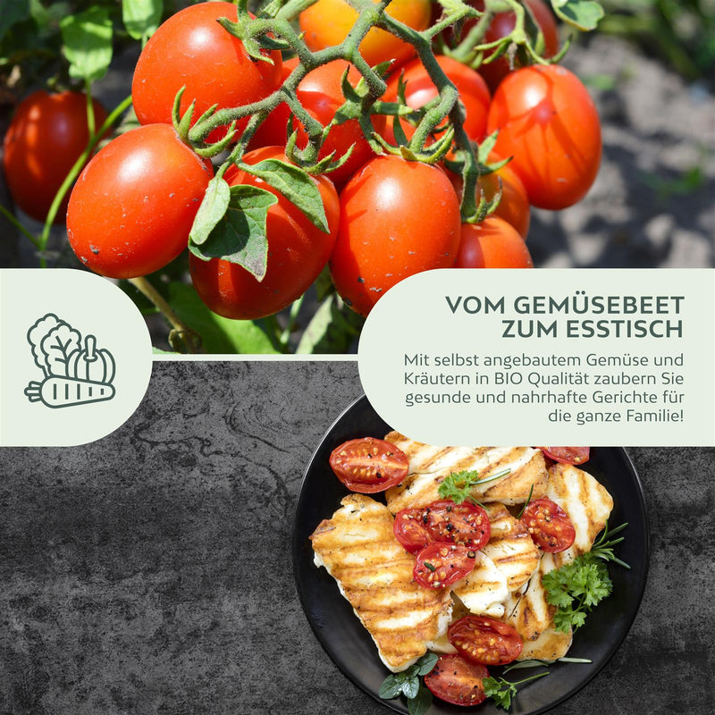BIO Tomatensamen (Roma) - Tomaten Saatgut aus biologischem Anbau (10 Korn) - HappySeed