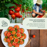BIO Tomatensamen Set (10 Sorten) - Tomaten Samen Anzuchtset aus biologischem Anbau - HappySeed