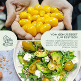 BIO Tomatensamen (Yellow Submarine) - Tomaten Saatgut aus biologischem Anbau (10 Korn) - HappySeed