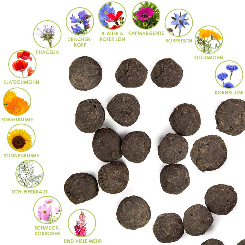 12x Samenbomben für eine bunte Bienenweide - Farbenfroh & nektarreich für Bienen und Schmetterlinge - HappySeed