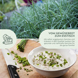 BIO Schnittlauch Samen - Küchenkräuter Saatgut aus biologischem Anbau (125 Korn) - HappySeed