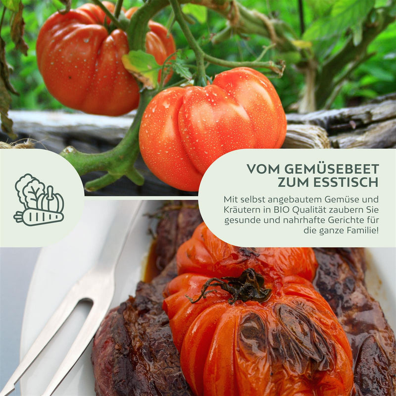 BIO Tomatensamen (Ochsenherz) - Tomaten Saatgut aus biologischem Anbau (10 Korn) - HappySeed