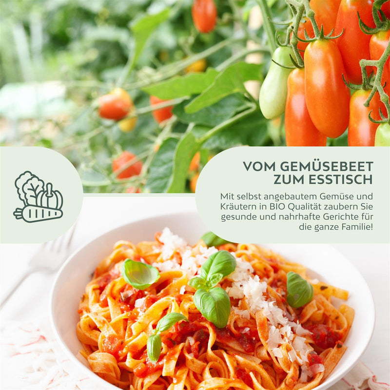 BIO Tomatensamen (San Marzano) - Tomaten Saatgut aus biologischem Anbau (10 Korn) - HappySeed