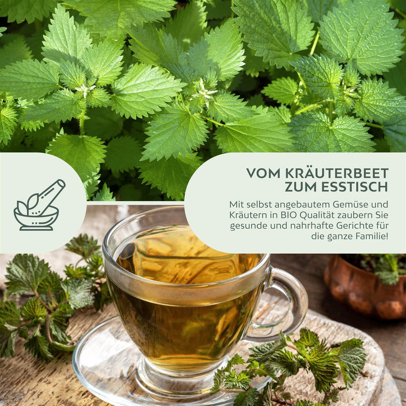 BIO Brennnesselsamen - Heilkräuter Saatgut aus biologischem Anbau (2000 Korn) - HappySeed