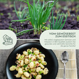BIO Frühlingszwiebel Samen (Weißer Lissabonner) - Frühlingszwiebeln Saatgut aus biologischem Anbau (75 Korn) - HappySeed