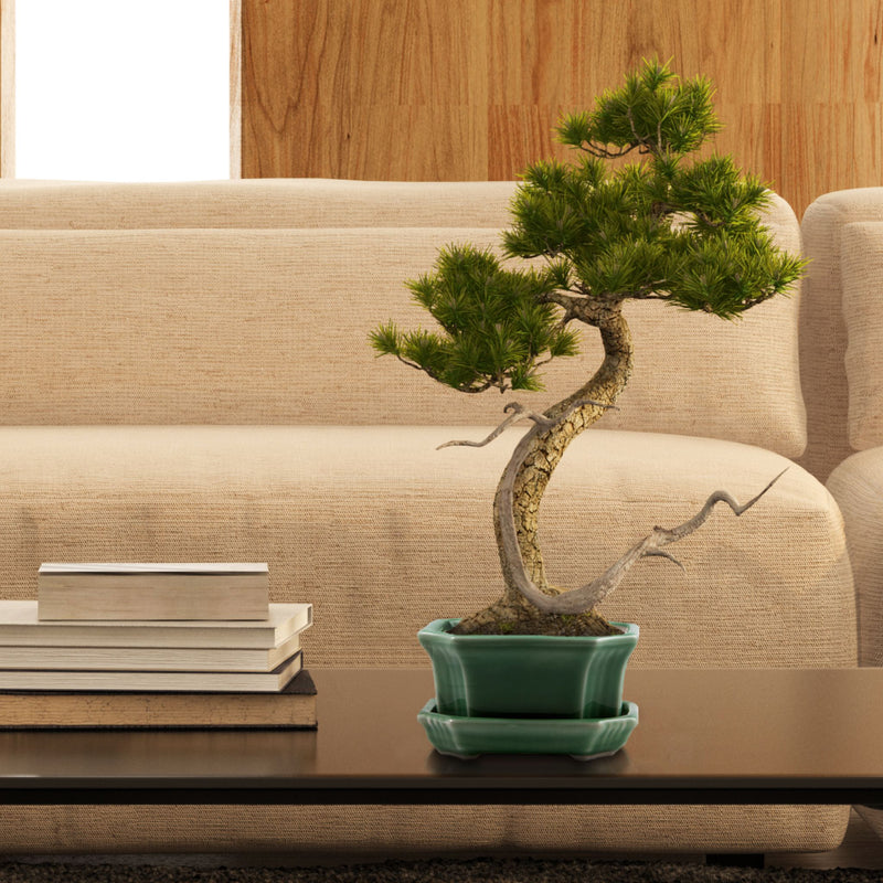 Bonsai Schale aus Keramik mit Untersetzer in Jadegrün - 11 x 6,5 x 9 cm - HappySeed