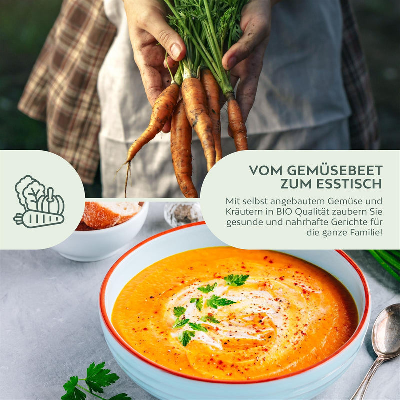 BIO Karotten Samen (Early Nantes) - Möhren Saatgut aus biologischem Anbau (500 Korn) - HappySeed