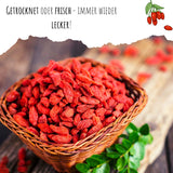 Goji Beeren Samen - Lycium chinense - HappySeed