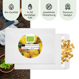 BIO Paprika Samen (Golden California Wonder) - Gelbe Paprika Saatgut aus biologischem Anbau (10 Korn) - HappySeed