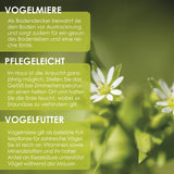 Vogelmiere Samen - Stellaria media - HappySeed