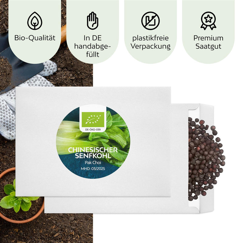 BIO Chinesischer Senfkohl Samen (Pak Choi) - Pak Choi Saatgut aus biologischem Anbau (150 Korn) - HappySeed