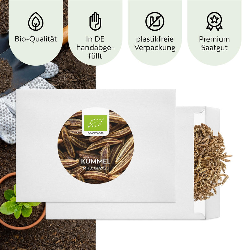 BIO Kümmelsamen - Küchenkräuter Saatgut aus biologischem Anbau (400 Korn) - HappySeed