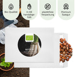 BIO Rettich Samen (Japanischer Daikon) - Rettich Saatgut aus biologischem Anbau (50 Korn) - HappySeed