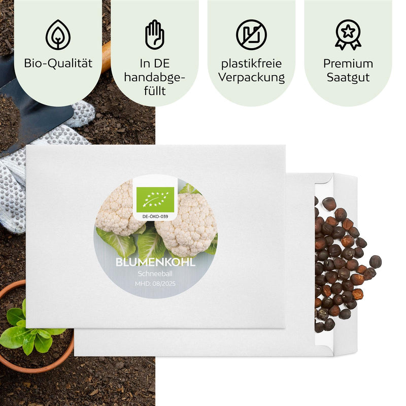 BIO Blumenkohl Samen (Schneeball) - Blumenkohl Saatgut aus biologischem Anbau (35 Korn) - HappySeed