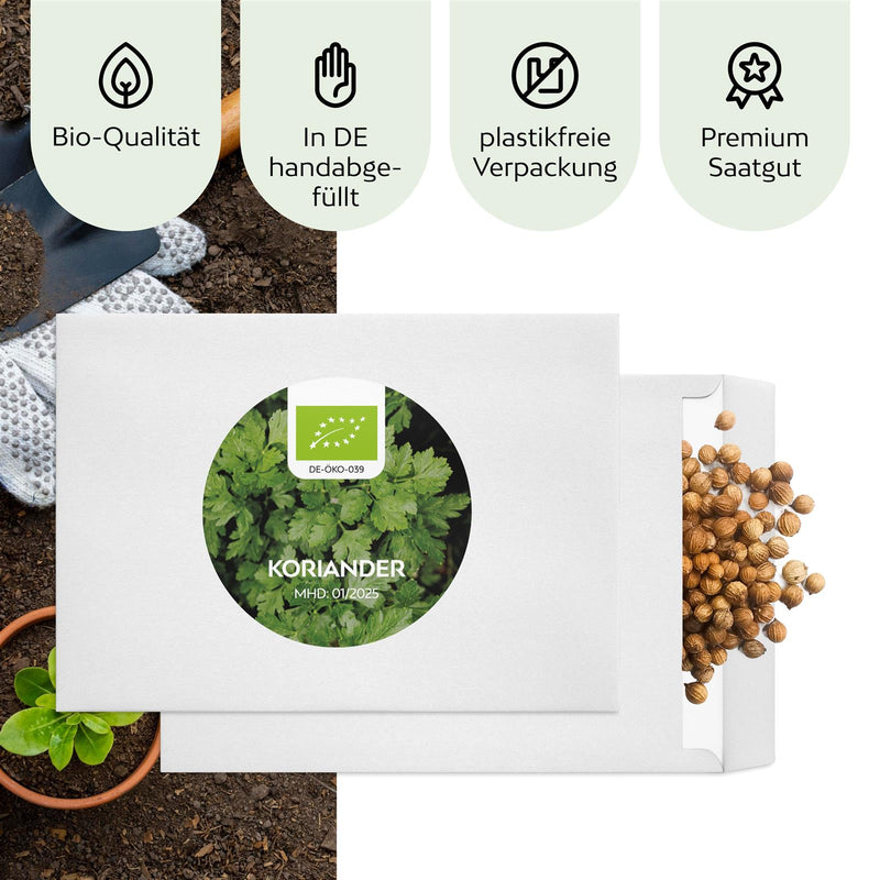 BIO Koriandersamen - Küchenkräuter Saatgut aus biologischem Anbau (35 Korn) - HappySeed