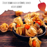 Physalis / Kapstachelbeere Samen - Physalis peruviana - HappySeed
