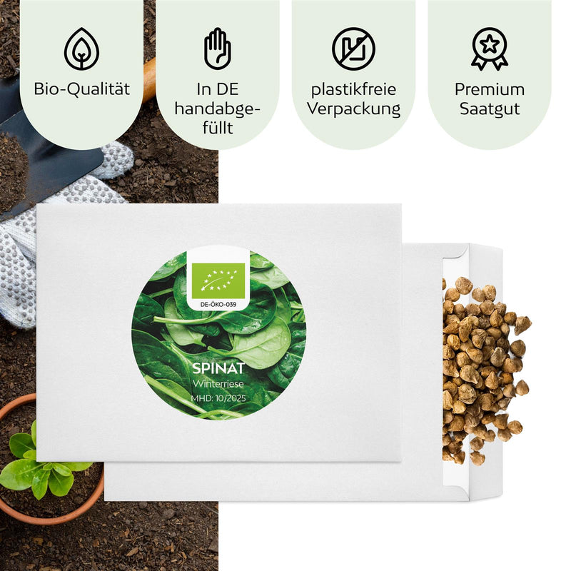 BIO Spinat Samen (Winterriese) - Winterspinat Saatgut aus biologischem Anbau (125 Korn) - HappySeed