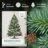 GROW2GO Weihnachtsbaum zum selber Pflanzen - Mini-Gewächshaus, Nordmanntanne Samen & Erde - HappySeed