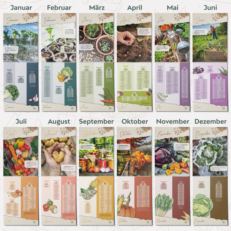 Saisonkalender für Obst und Gemüse - Ewiger Aussaatkalender mit Illustrationen und Bauernweisheiten