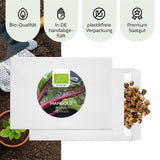 BIO Mangold Samen (Rhubarb) - Mangold Saatgut aus biologischem Anbau (25 Korn) - HappySeed