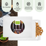 BIO Aubergine Samen (Black Beauty) - Auberginen Saatgut aus biologischem Anbau (25 Korn) - HappySeed