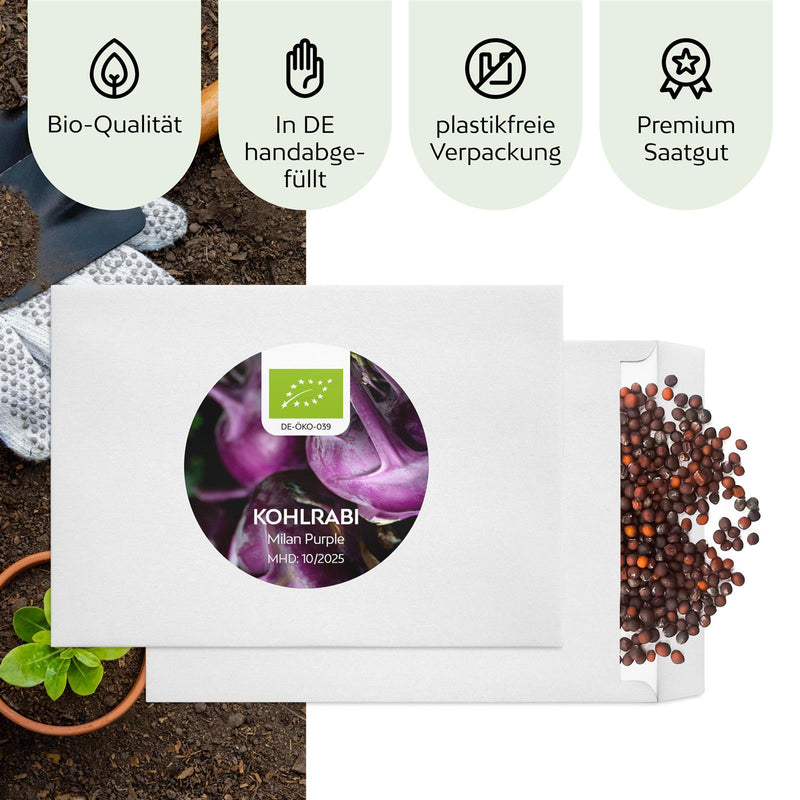 BIO Lila Kohlrabi Samen (Milan Purple) - Kohlrabi Saatgut aus biologischem Anbau (300 Korn) - HappySeed