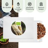 BIO Radieschen Samen (Eiszapfen) - Radieschen Saatgut aus biologischem Anbau (50 Korn) - HappySeed
