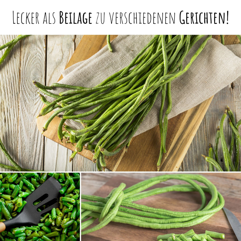 Meterbohne Samen - Vigna unguiculata - HappySeed
