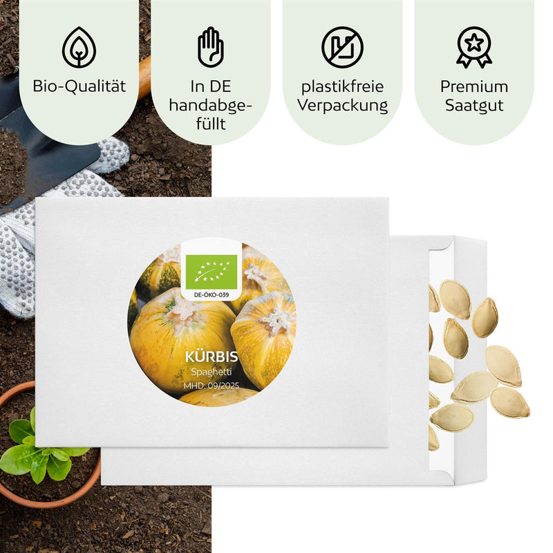 BIO Kürbis Samen (Spaghetti) - Kürbis Saatgut aus biologischem Anbau (5 Korn) - HappySeed