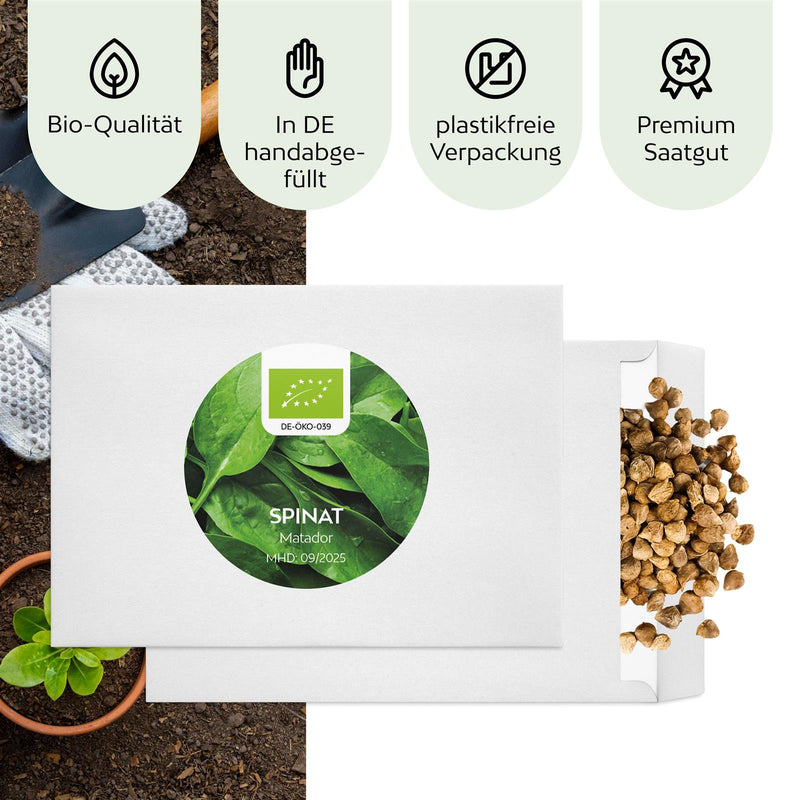 BIO Spinat Samen (Matador) - Spinat Saatgut aus biologischem Anbau (150 Korn) - HappySeed