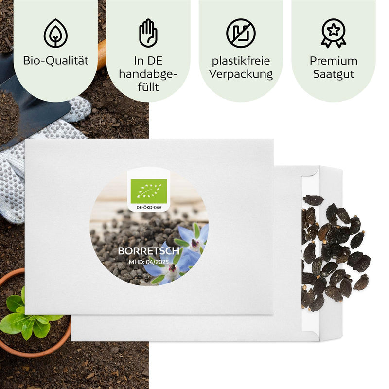 BIO Borretsch Samen - Küchenkräuter Saatgut aus biologischem Anbau (40 Korn) - HappySeed