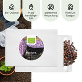 BIO Rotkohl Samen (Red Drumhead) - Rotkohl Saatgut aus biologischem Anbau (125 Korn) - HappySeed